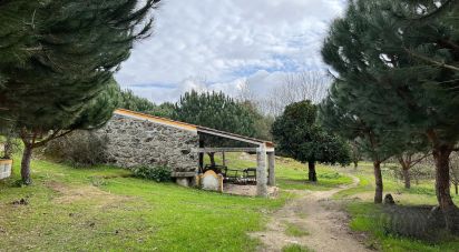 Terrain à Currelos, Papízios e Sobral de 52 900 m²