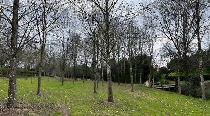 Terrain à Currelos, Papízios e Sobral de 52 900 m²