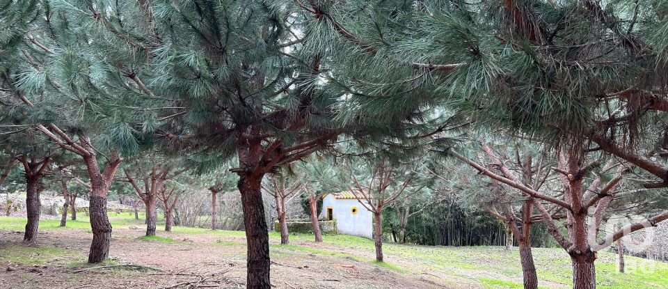 Terrain à Currelos, Papízios e Sobral de 52 900 m²