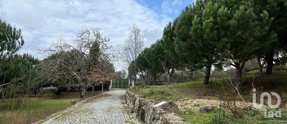 Terrain à Currelos, Papízios e Sobral de 52 900 m²