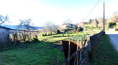 Ferme T2 à Coura de 1 821 m²