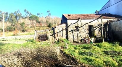 Ferme T2 à Coura de 1 821 m²