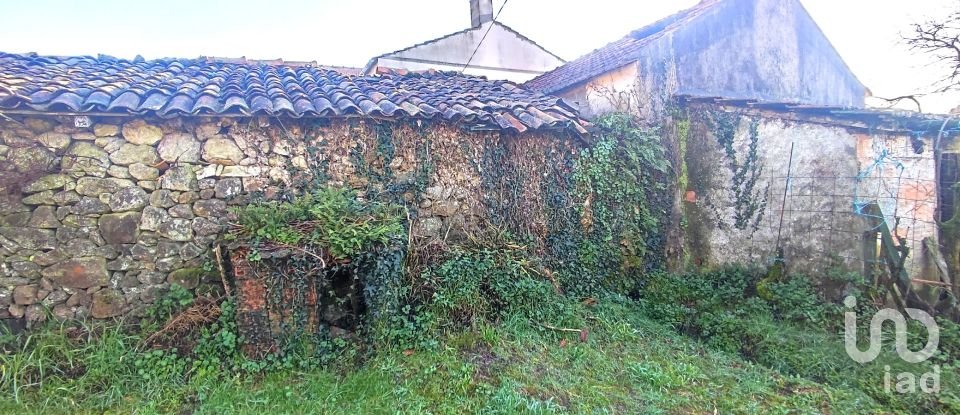 Farm T2 in Coura of 1,821 m²