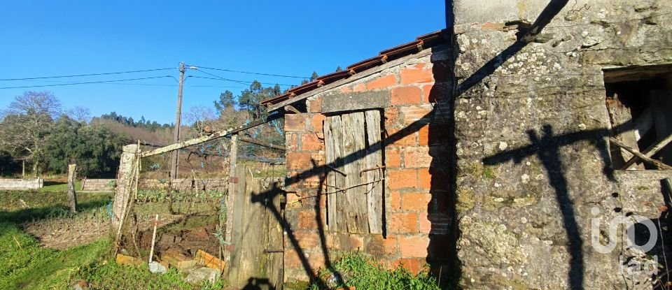 Farm T2 in Coura of 1,821 m²