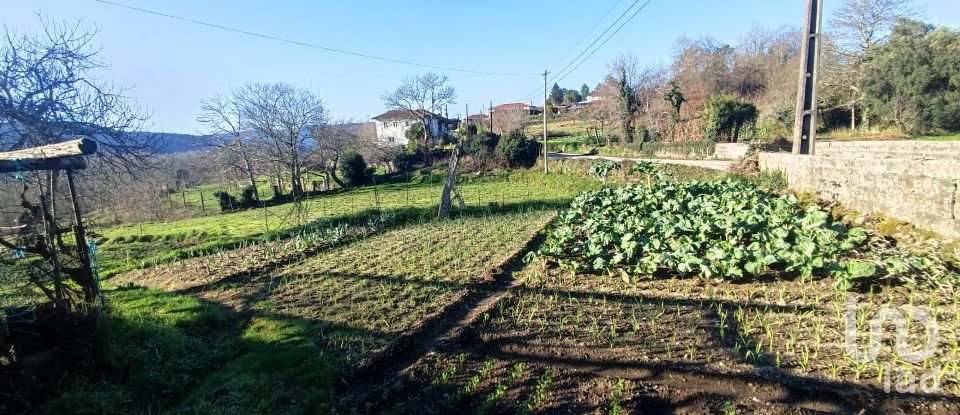 Farm T2 in Coura of 1,821 m²