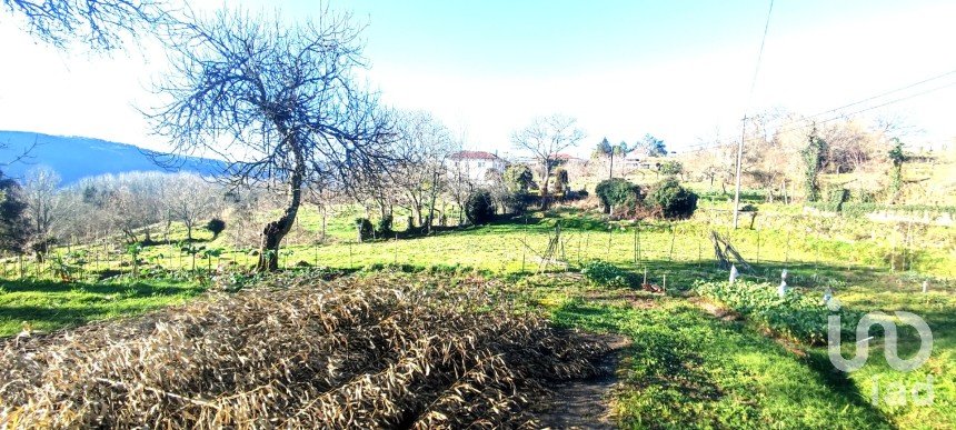 Farm T2 in Coura of 1,821 m²