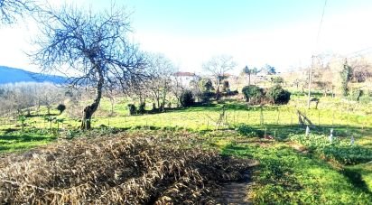 Ferme T2 à Coura de 1 821 m²