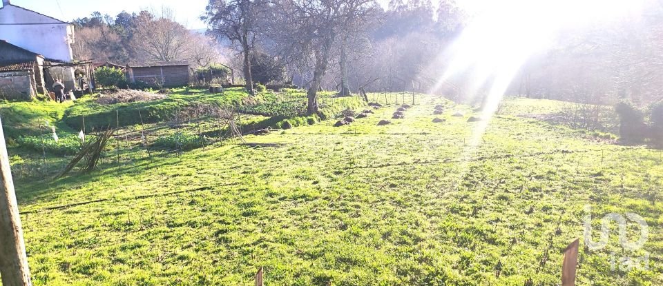 Farm T2 in Coura of 1,821 m²