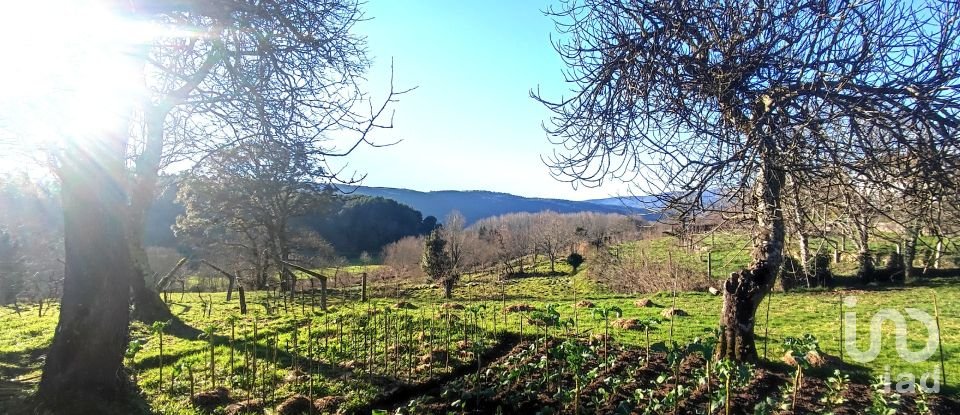 Farm T2 in Coura of 1,821 m²