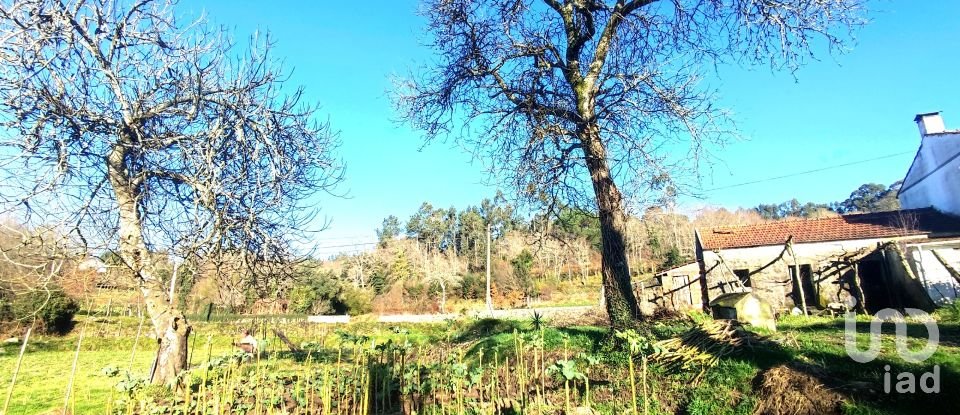 Farm T2 in Coura of 1,821 m²