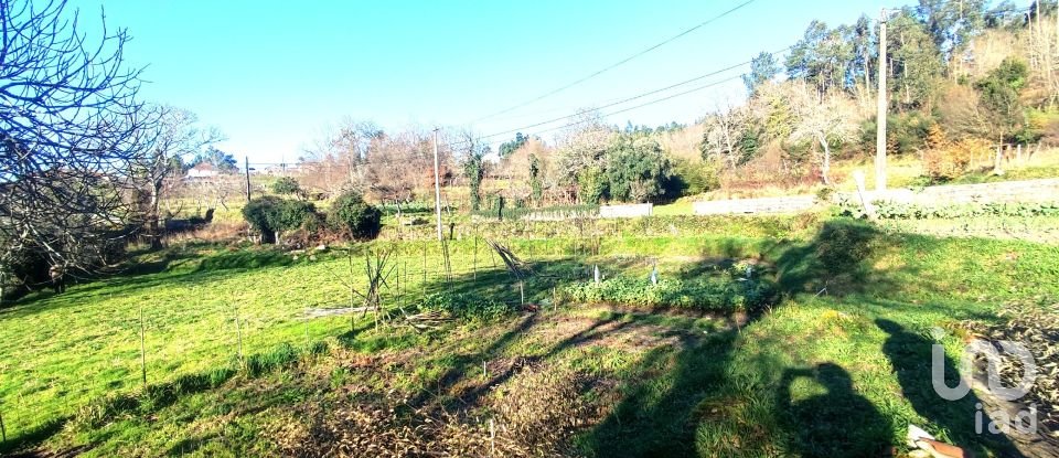 Farm T2 in Coura of 1,821 m²