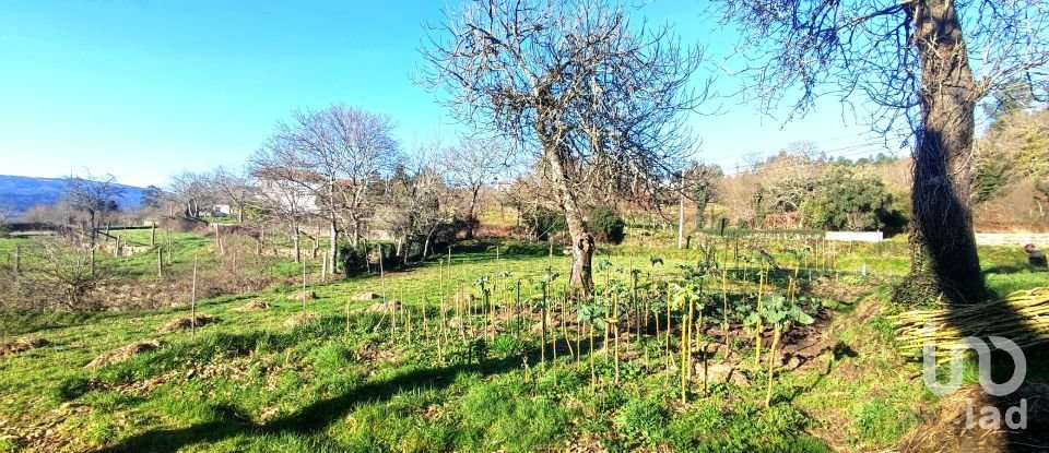 Farm T2 in Coura of 1,821 m²