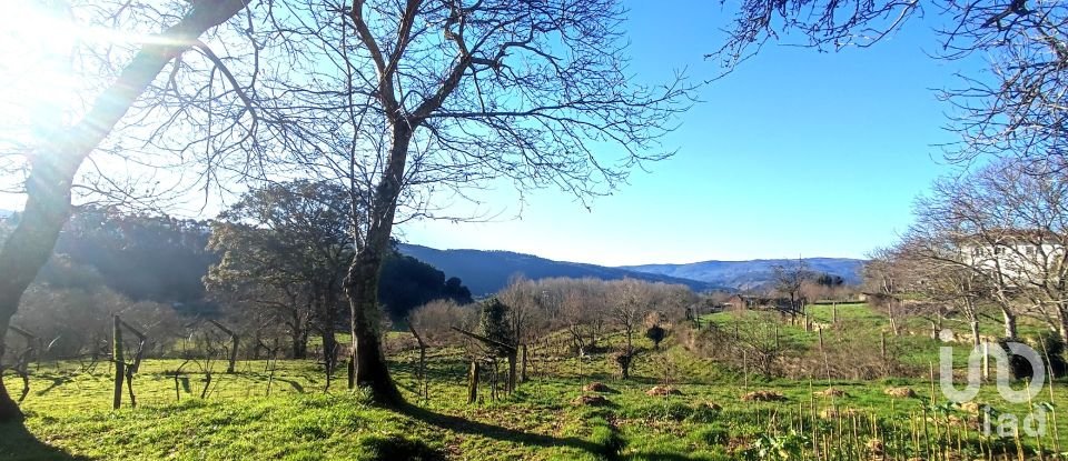 Farm T2 in Coura of 1,821 m²