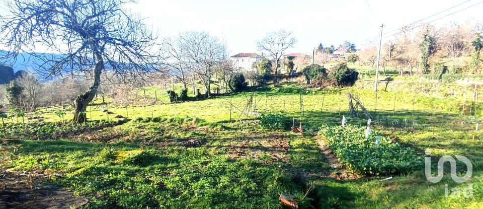 Farm T2 in Coura of 1,821 m²