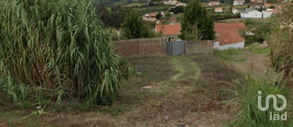 Terrain à Salir de Matos de 1 177 m²