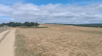 Maison de village T2 à Lagoa de 88 m²