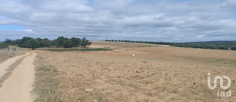 Maison de village T2 à Lagoa de 88 m²