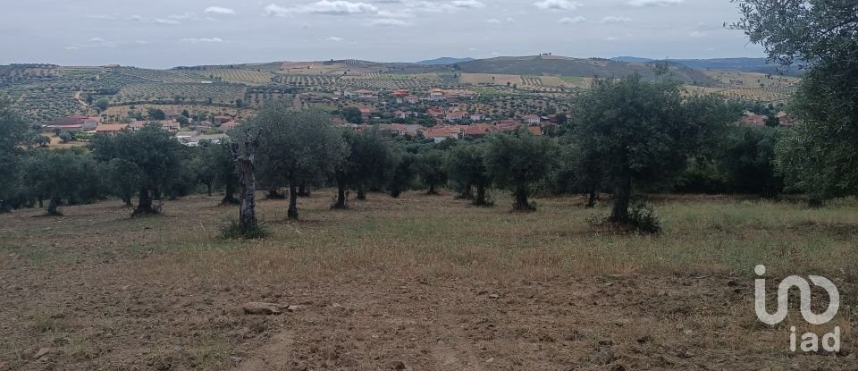 Maison de village T2 à Lagoa de 88 m²