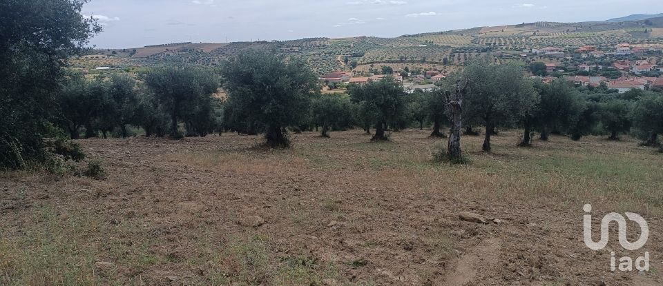 Maison de village T2 à Lagoa de 88 m²