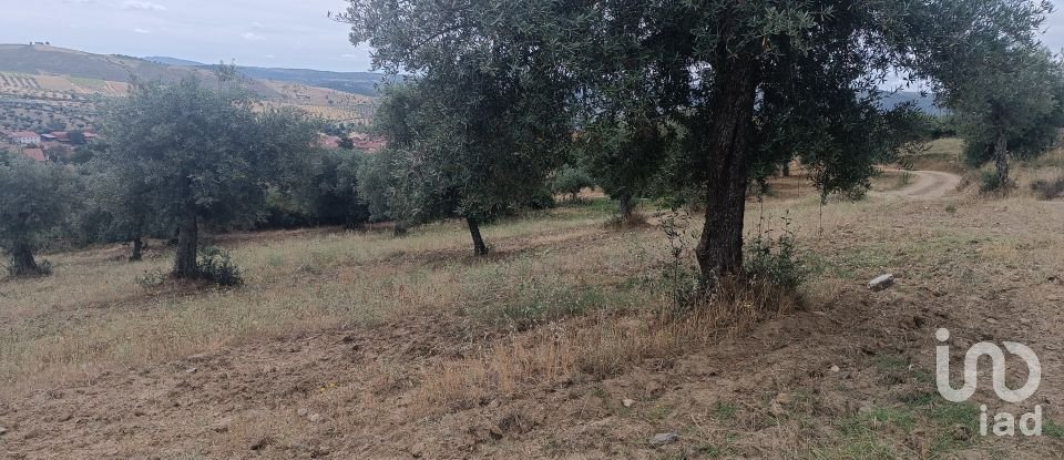 Maison de village T2 à Lagoa de 88 m²