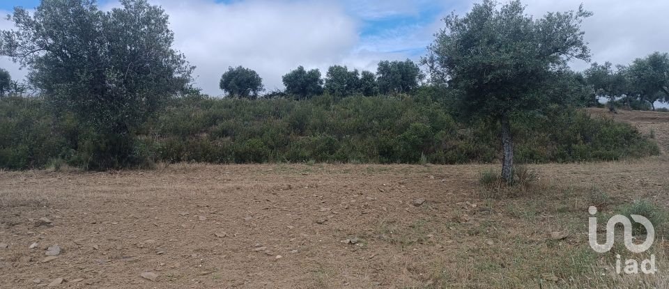 Maison de village T2 à Lagoa de 88 m²