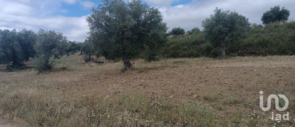 Maison de village T2 à Lagoa de 88 m²