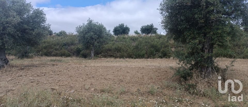 Maison de village T2 à Lagoa de 88 m²