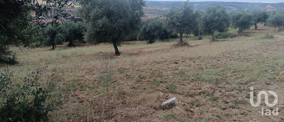 Maison de village T2 à Lagoa de 88 m²