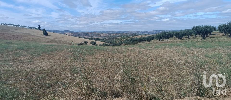 Maison de village T2 à Lagoa de 88 m²