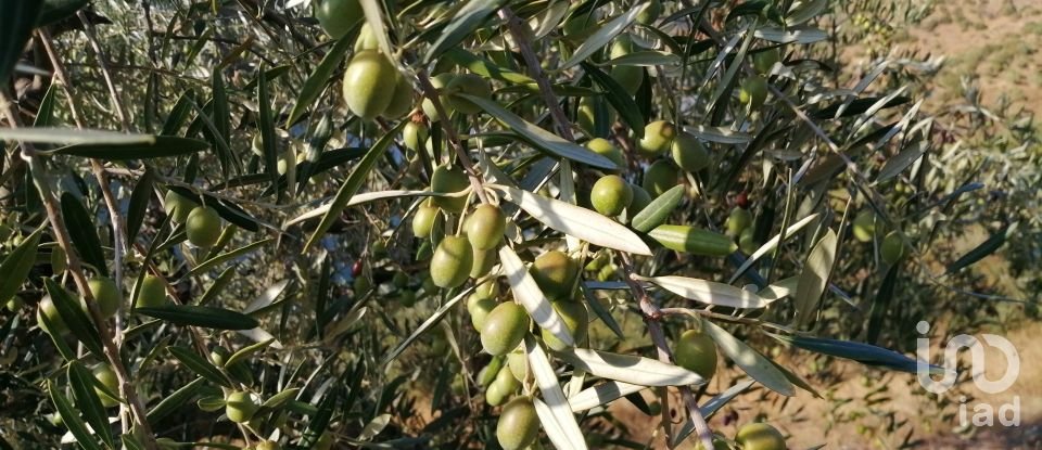 Maison de village T2 à Lagoa de 88 m²