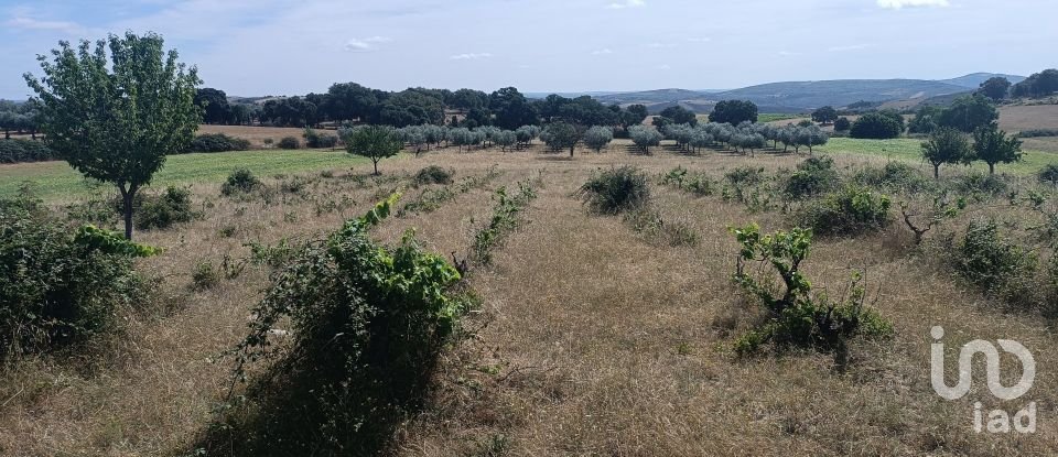 Maison de village T2 à Lagoa de 88 m²