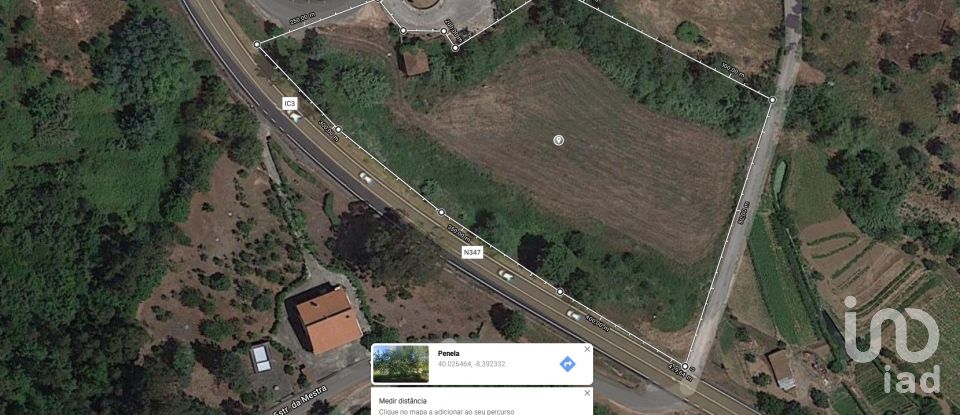 Terreno em São Miguel, Santa Eufémia e Rabaçal de 9 000 m²
