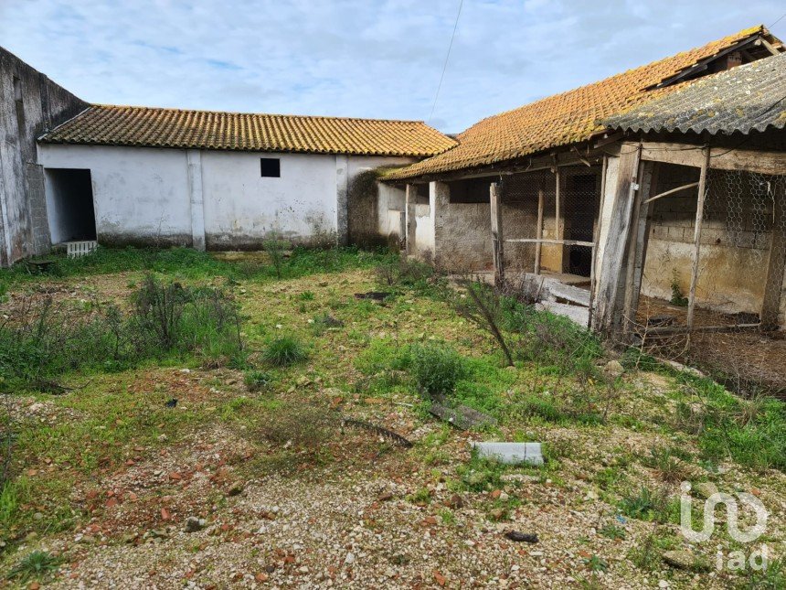 Casa de Campo T0 em Porto de Mós - São João Baptista e São Pedro de 556 m²
