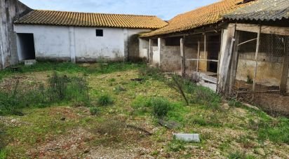 Maison rustique T0 à Porto de Mós - São João Baptista e São Pedro de 556 m²