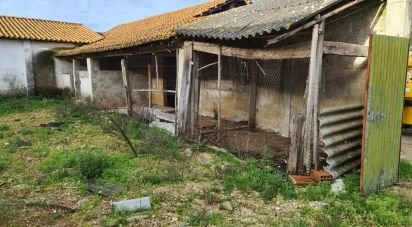 Maison rustique T0 à Porto de Mós - São João Baptista e São Pedro de 556 m²