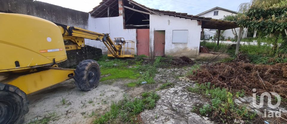 Casa de Campo T0 em Porto de Mós - São João Baptista e São Pedro de 556 m²