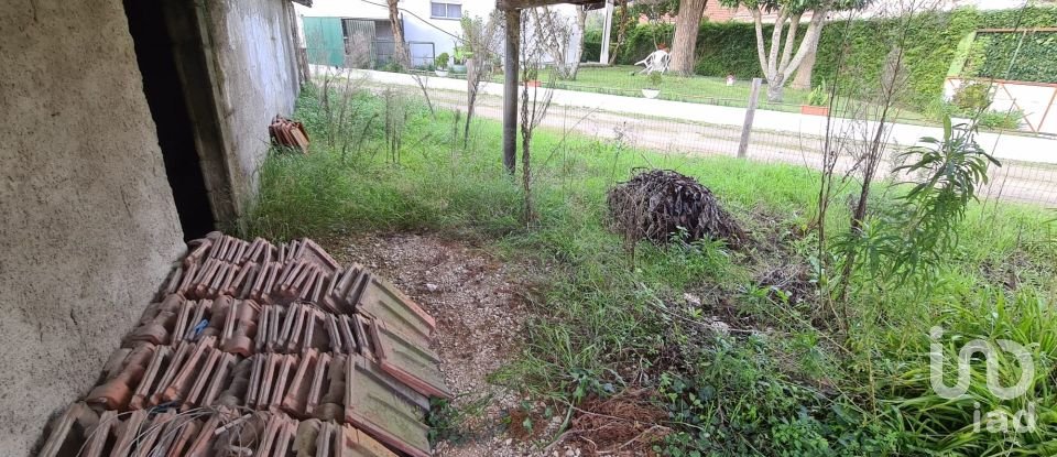 Casa de Campo T0 em Porto de Mós - São João Baptista e São Pedro de 556 m²