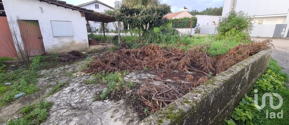 Casa de Campo T0 em Porto de Mós - São João Baptista e São Pedro de 556 m²