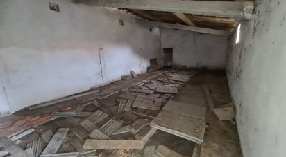 Maison rustique T0 à Porto de Mós - São João Baptista e São Pedro de 556 m²