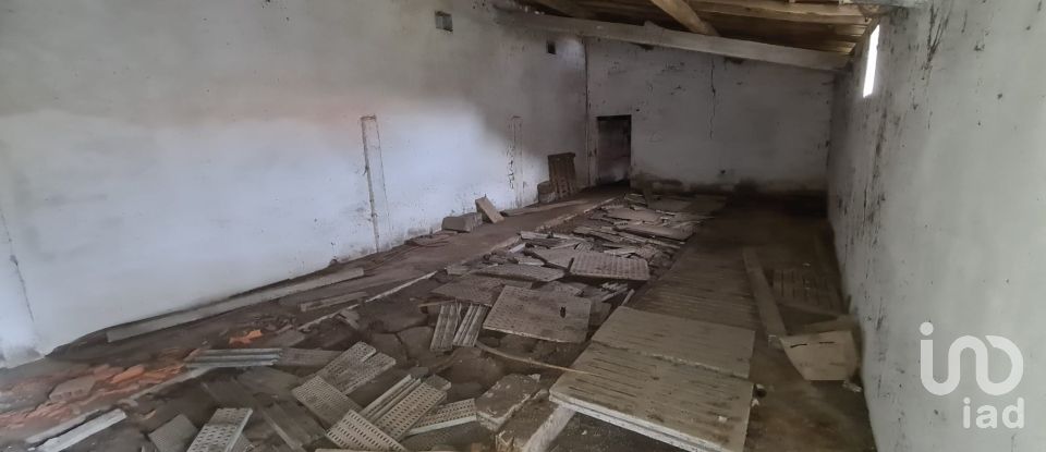 Casa de Campo T0 em Porto de Mós - São João Baptista e São Pedro de 556 m²