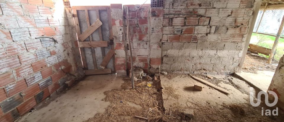 Casa de Campo T0 em Porto de Mós - São João Baptista e São Pedro de 556 m²