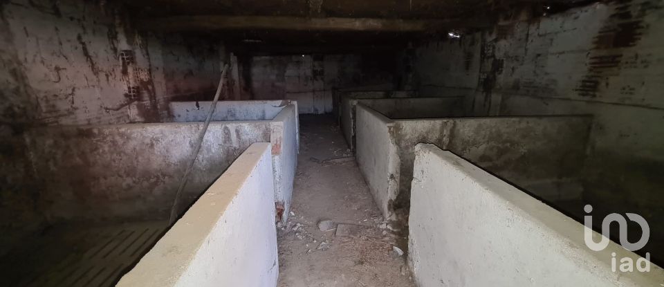 Casa de Campo T0 em Porto de Mós - São João Baptista e São Pedro de 556 m²