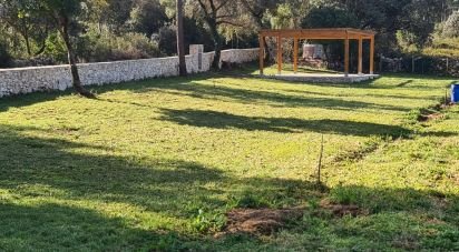 Terrain agricole à Fátima de 2 000 m²