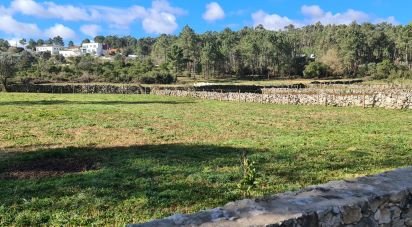 Terrain agricole à Fátima de 2 000 m²