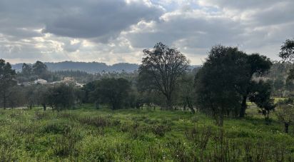 Terrain à bâtir à Recardães e Espinhel de 2 150 m²