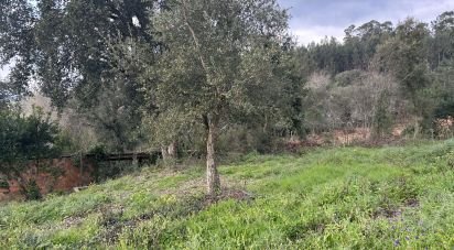 Terrain à bâtir à Recardães e Espinhel de 2 150 m²