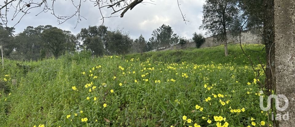 Terrain à bâtir à Recardães e Espinhel de 2 150 m²
