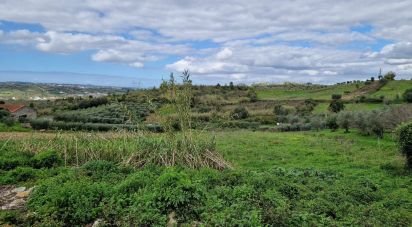 Terrain à Porto de Mós - São João Baptista e São Pedro de 2 172 m²