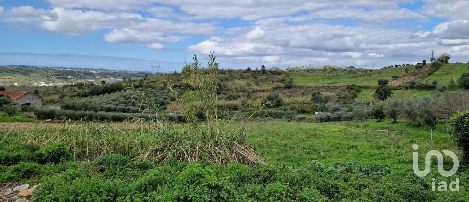 Terreno em Porto de Mós - São João Baptista e São Pedro de 2 172 m²