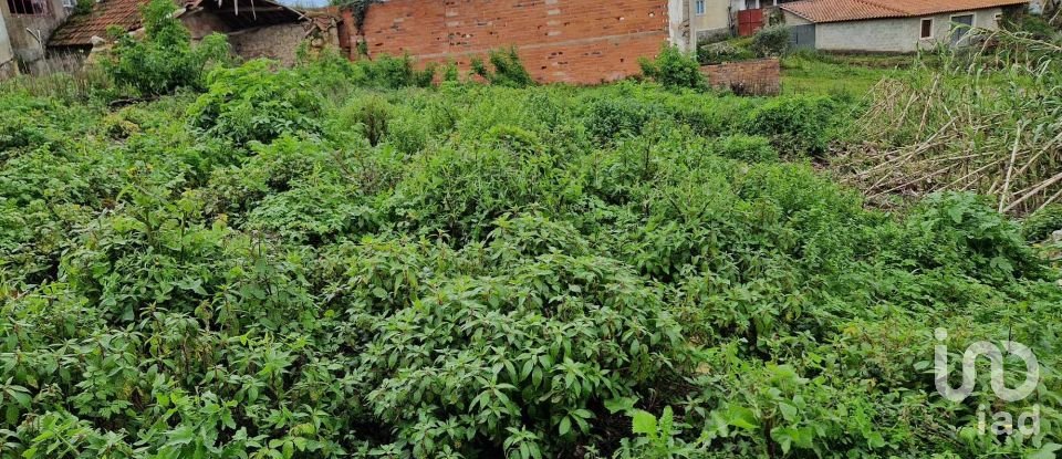 Terreno em Porto de Mós - São João Baptista e São Pedro de 2 172 m²